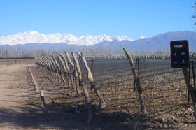 Mendoza, ARGENTINA